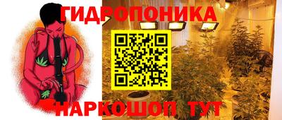 гидра Новокубанск